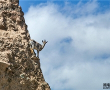 ƽ˲gS02E02 | ɽҰﱣoվ