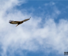 ƽ˲gS02E02 | ɽҰﱣoվ