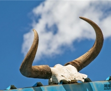 ƽ˲gS02E02 | ɽҰﱣoվ