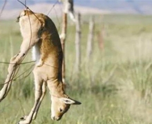 ƽ˲gS02E02 | ɽҰﱣoվ