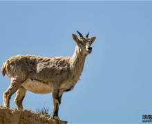 ƽ˲gS02E02 | ɽҰﱣoվ