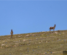 ƽ˲gS02E02 | ɽҰﱣoվ