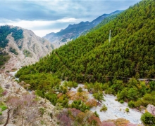 ¹H6 Coupe{ | RmcSӵĹ