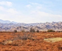 ¹H6 Coupe{ | RmcSӵĹ