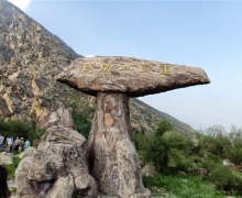 ¹H6 Coupe{ | RmcSӵĹ