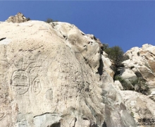 ¹H6 Coupe{ | RmcSӵĹ