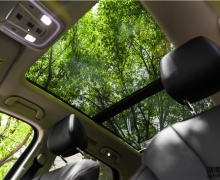 SLȹ õĻֵؑCP̤Ұӛ